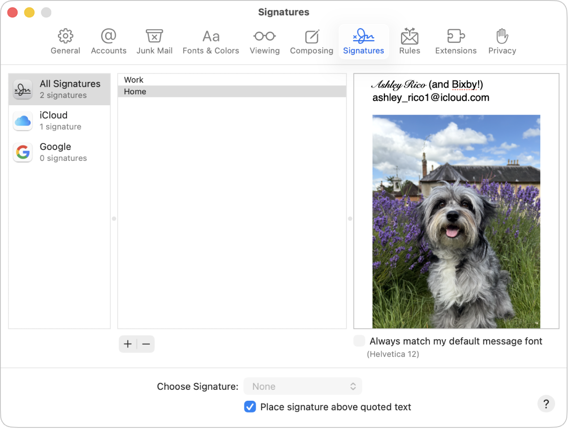 La configuración de Firmas de Mail mostrando una firma que contiene texto con formato y una imagen.